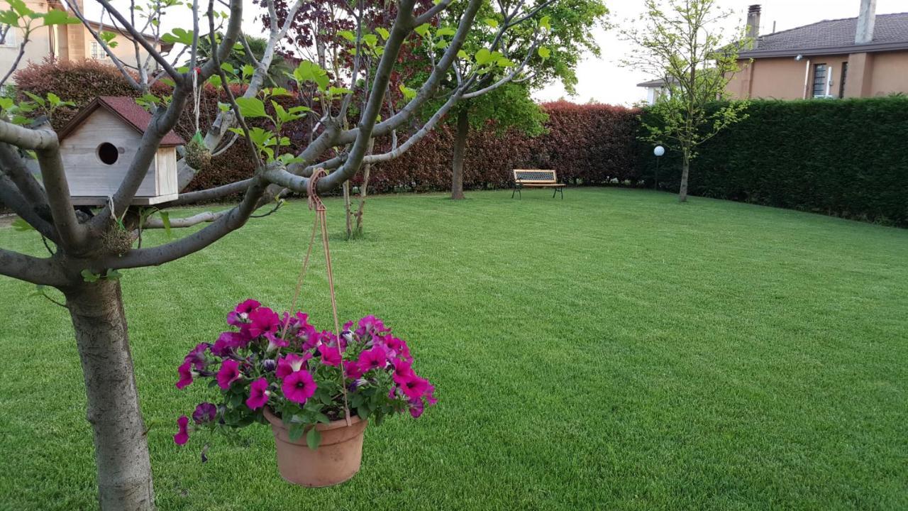 Il Farfasole Bed & Breakfast Vigonovo  Dış mekan fotoğraf