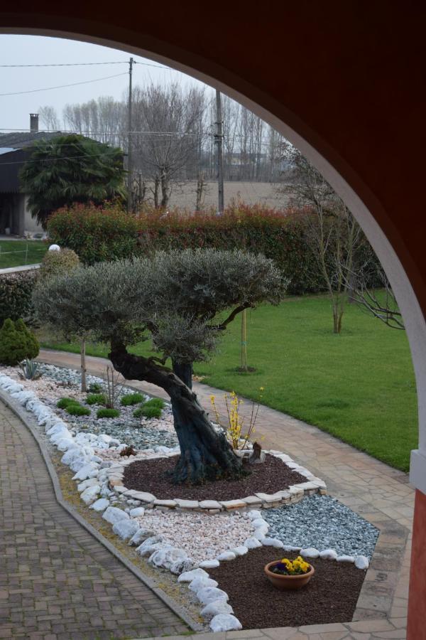 Il Farfasole Bed & Breakfast Vigonovo  Dış mekan fotoğraf