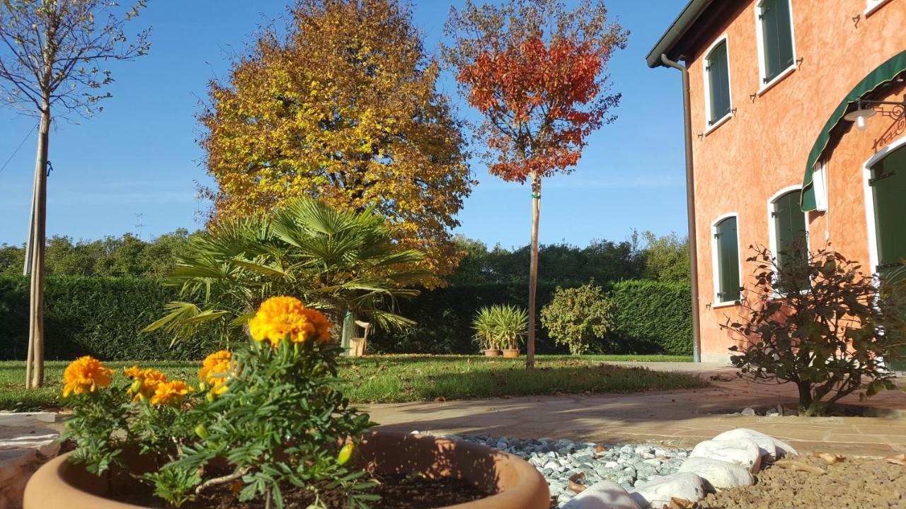 Il Farfasole Bed & Breakfast Vigonovo  Dış mekan fotoğraf